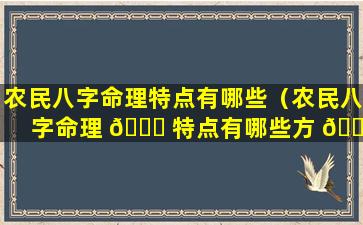 农民八字命理特点有哪些（农民八字命理 🍁 特点有哪些方 🐺 面）